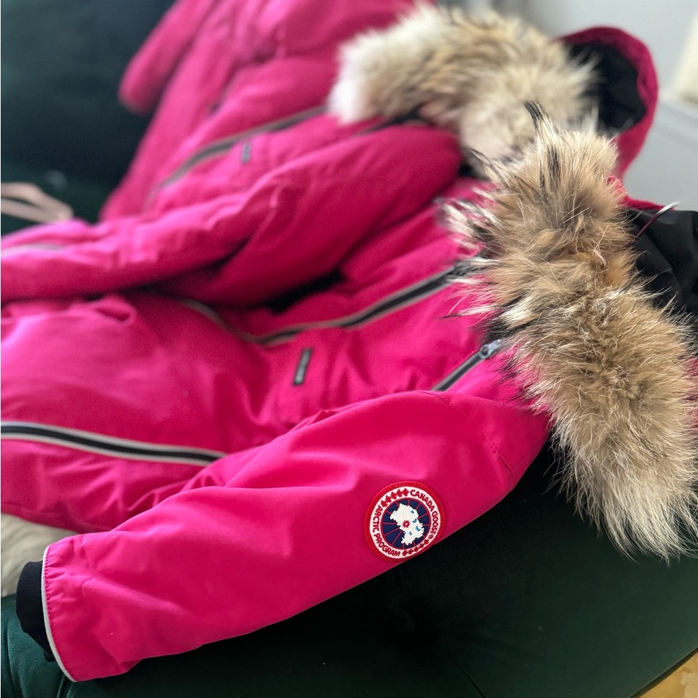 Canada Goose